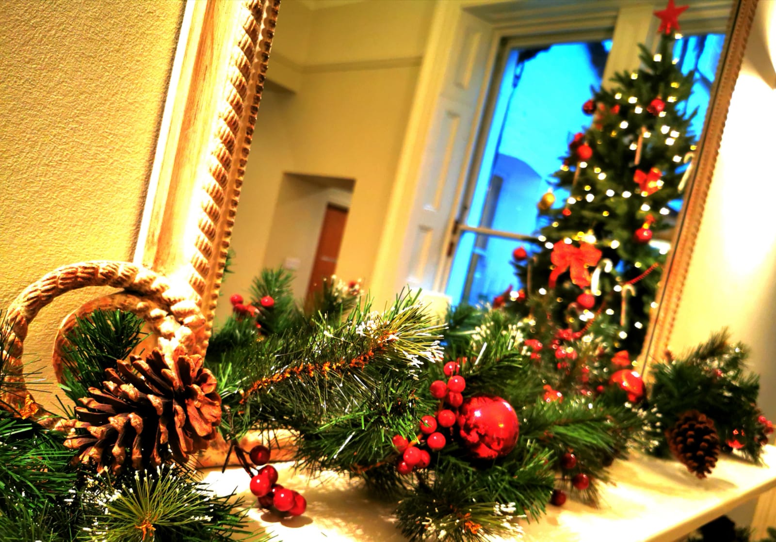Courtfield Christmas Newsletter 2024
